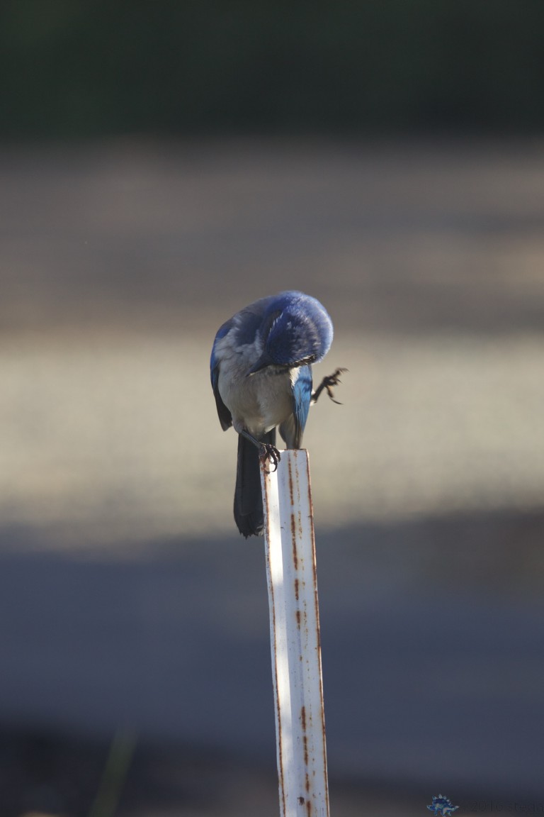 About Outside My Window