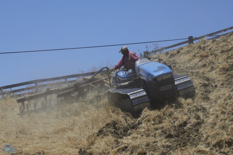 Out and About @ Purgatory: Mowing Day (series)