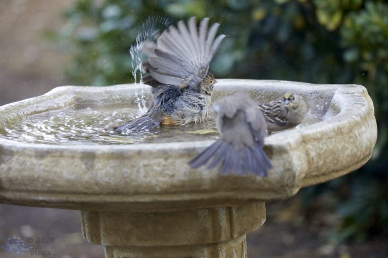 Uneasy Bathing