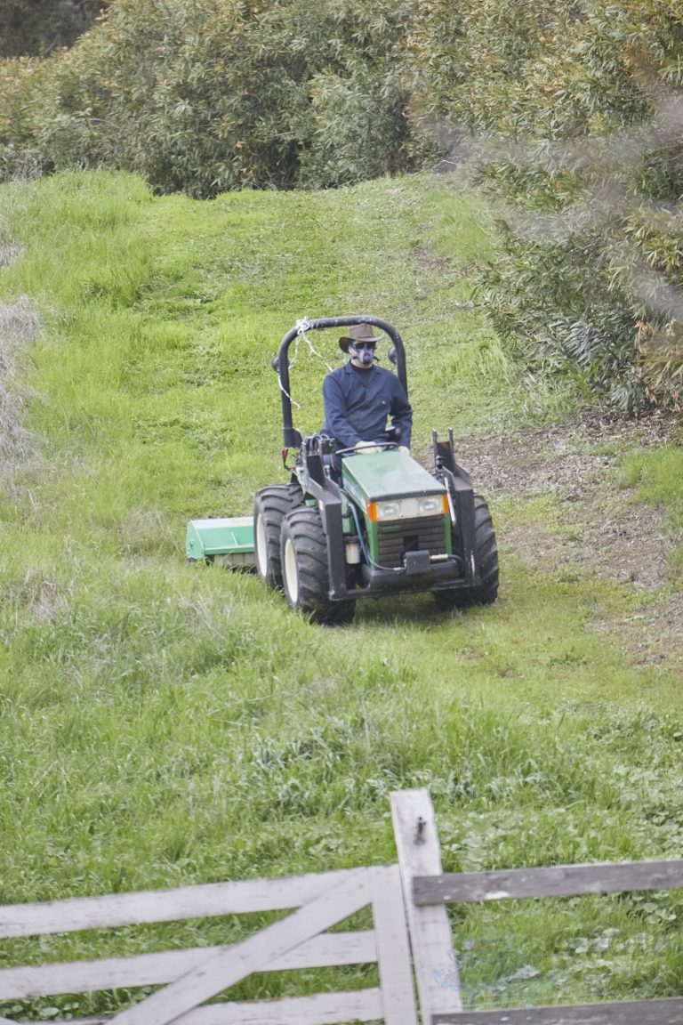Mowing Man