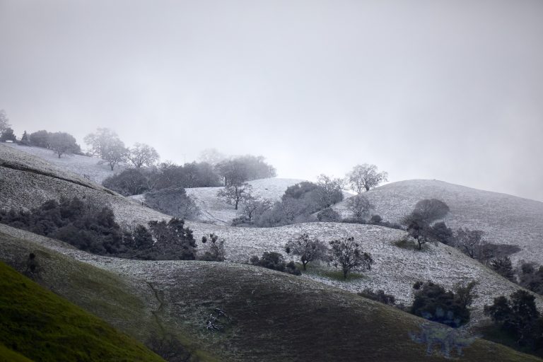 Outside: Snow