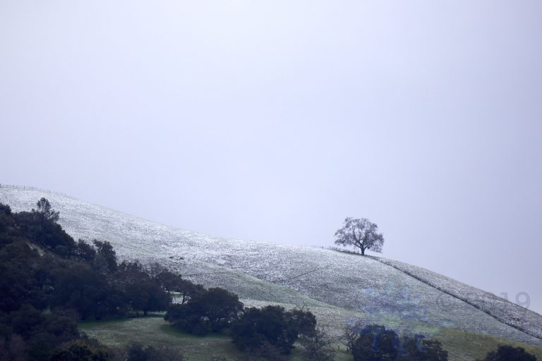 Outside: Snow
