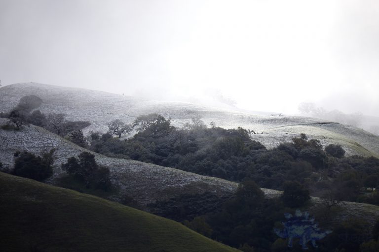 Outside: Snow