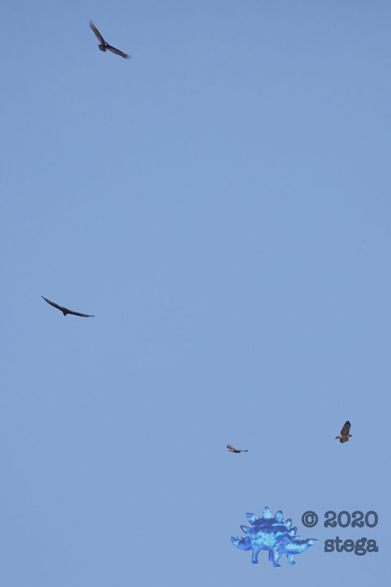 Soaring Pairs