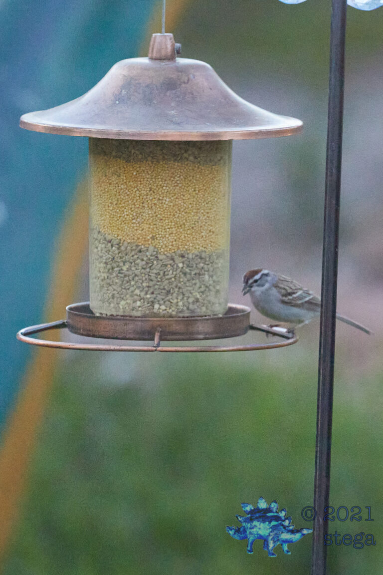 Fuzzy Sparrow
