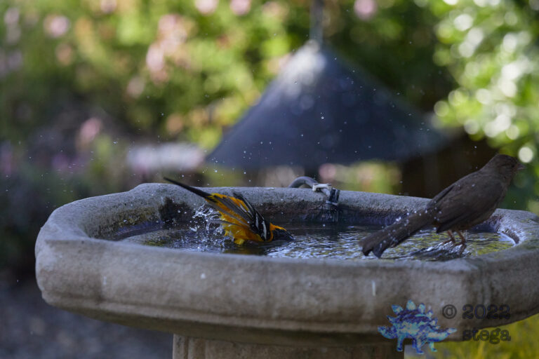 Bathing