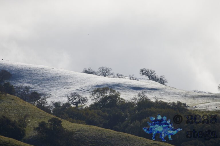 Snow