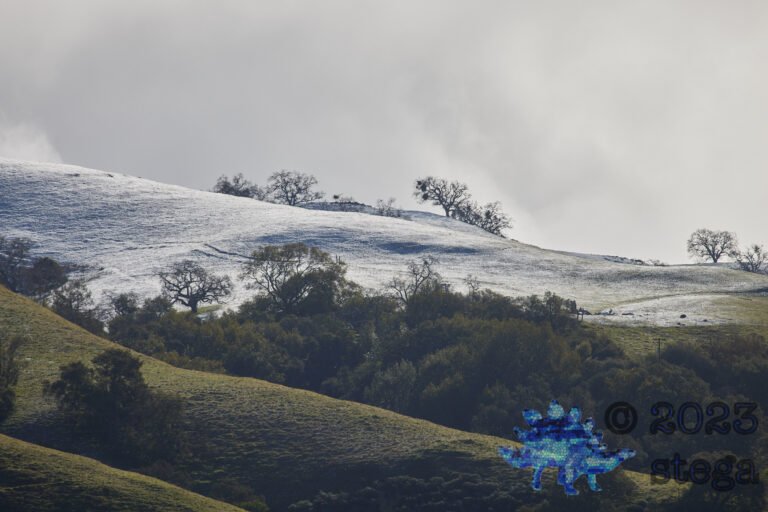 Snow