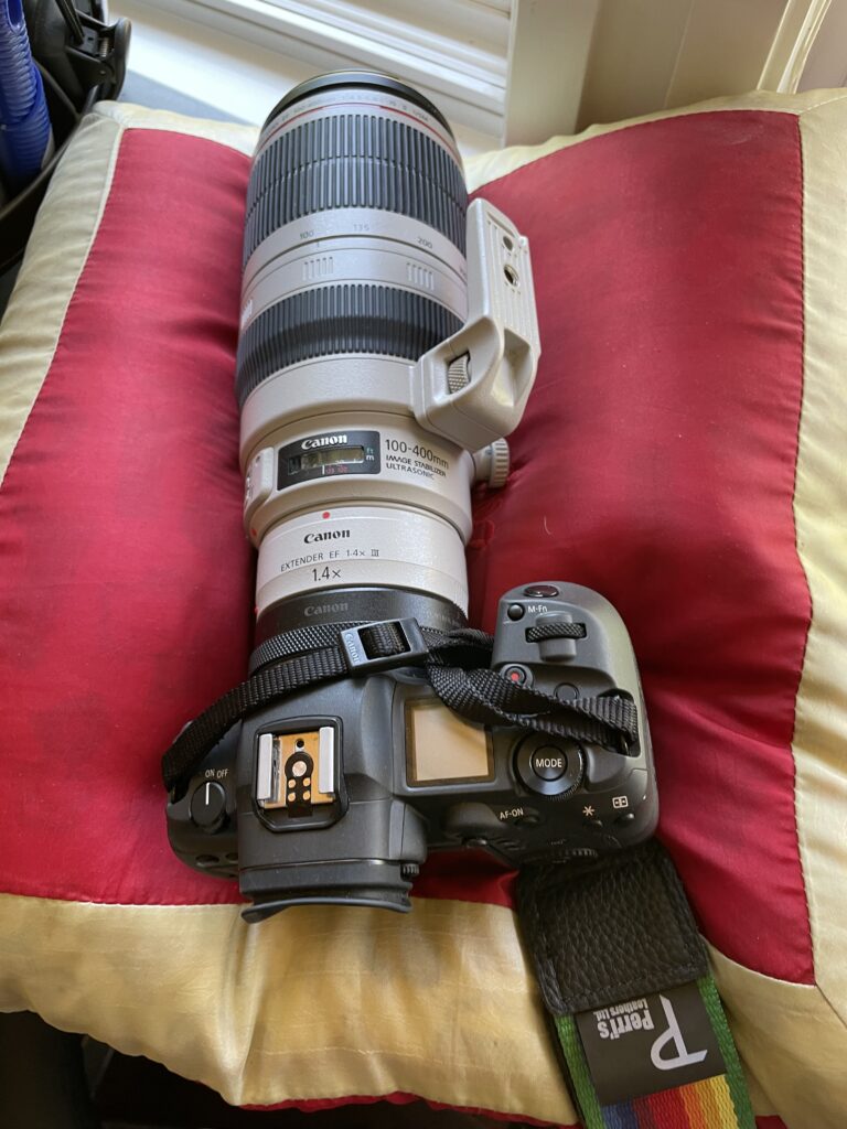 Current Camera