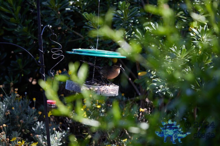California Thrasher
