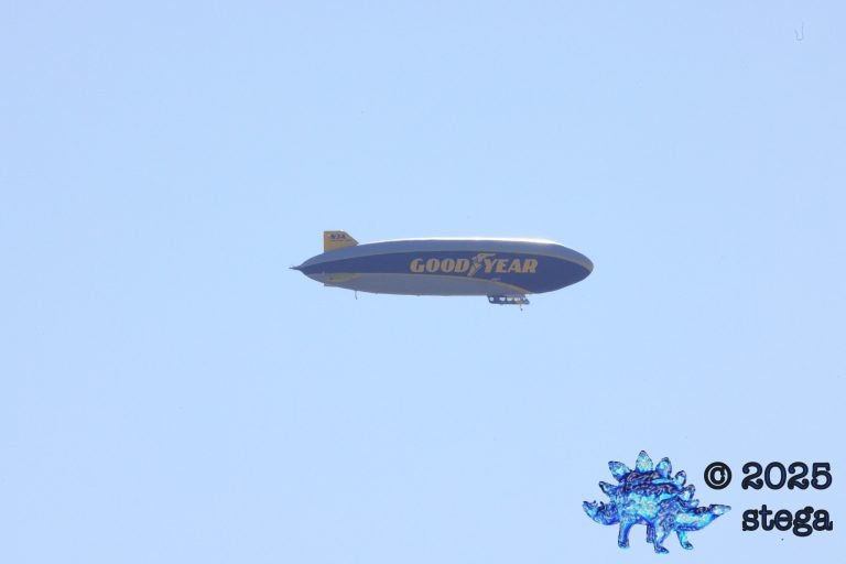 Blimp